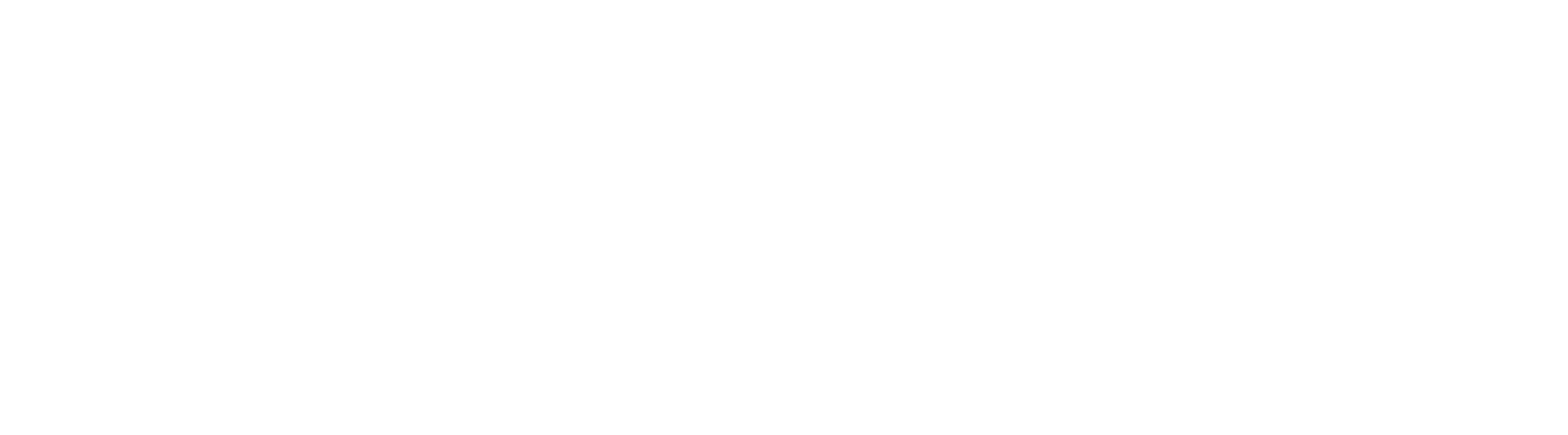 Prisma Solutions Digital Partner