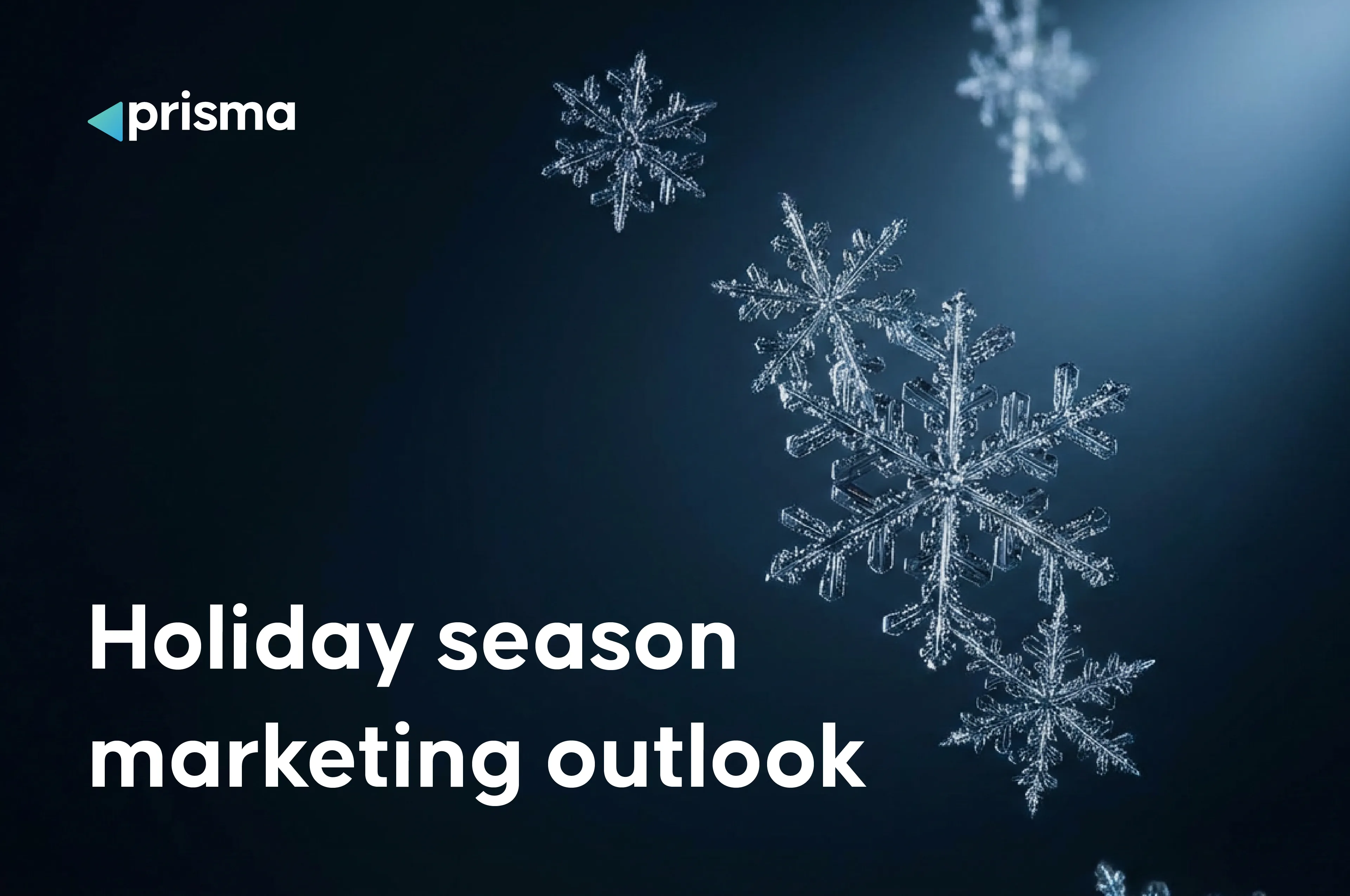 Holiday season marketing outlook